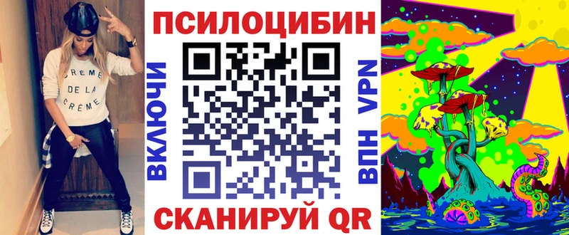 Купить закладки  Мариинский Посад  Псилоцибиновые грибы Magic Shrooms 
